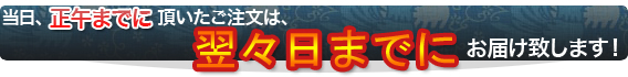 翌々日までに配送いたします！